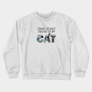 Today I'm only talking to my cat - grey cat oil painting word art Crewneck Sweatshirt